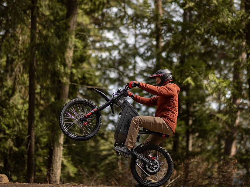 Freego All-terrain Mountain Off-road Motorcycle X2 Pro