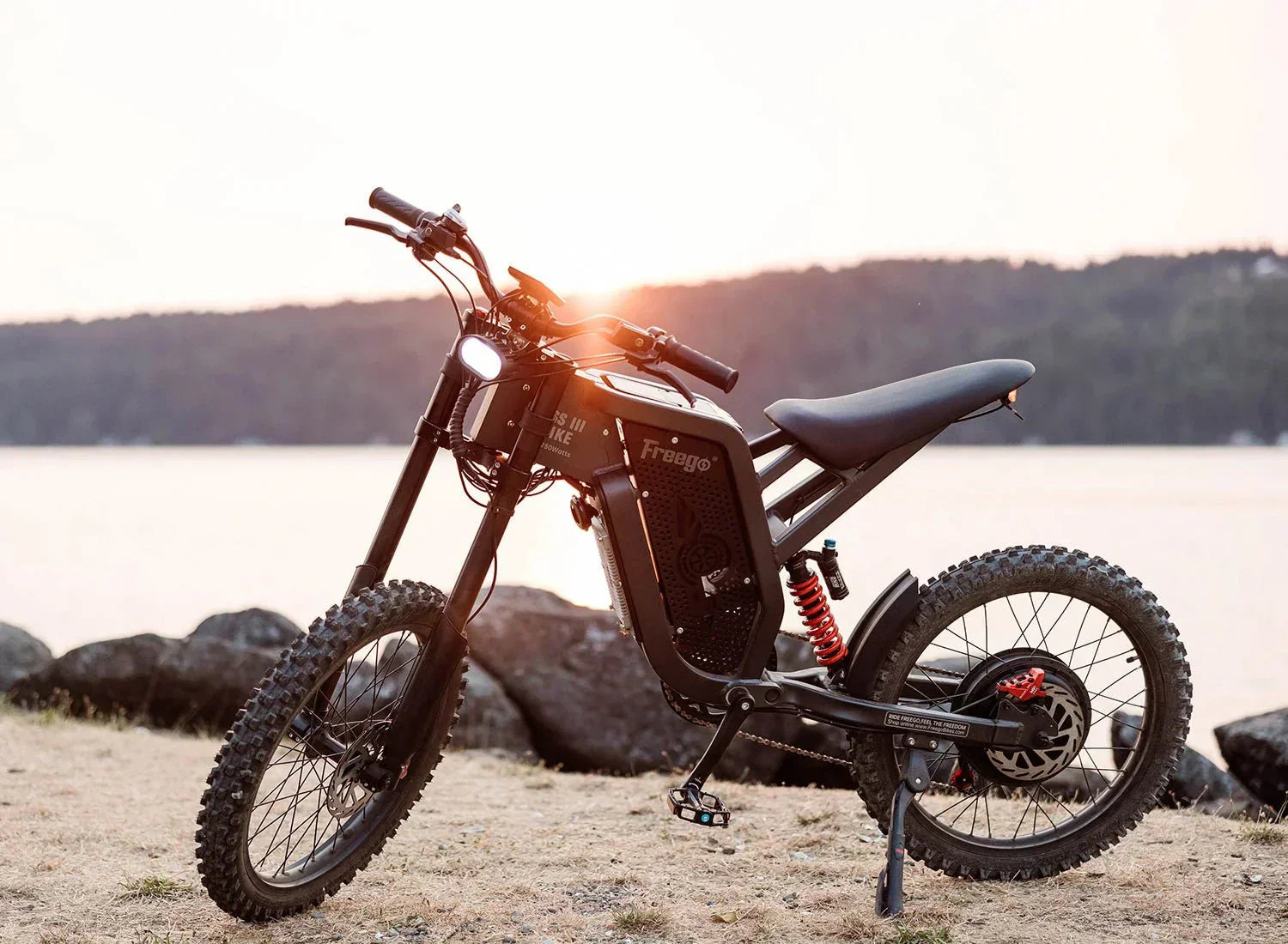 Freego X2 Dirt Master Electric Dirt Bike