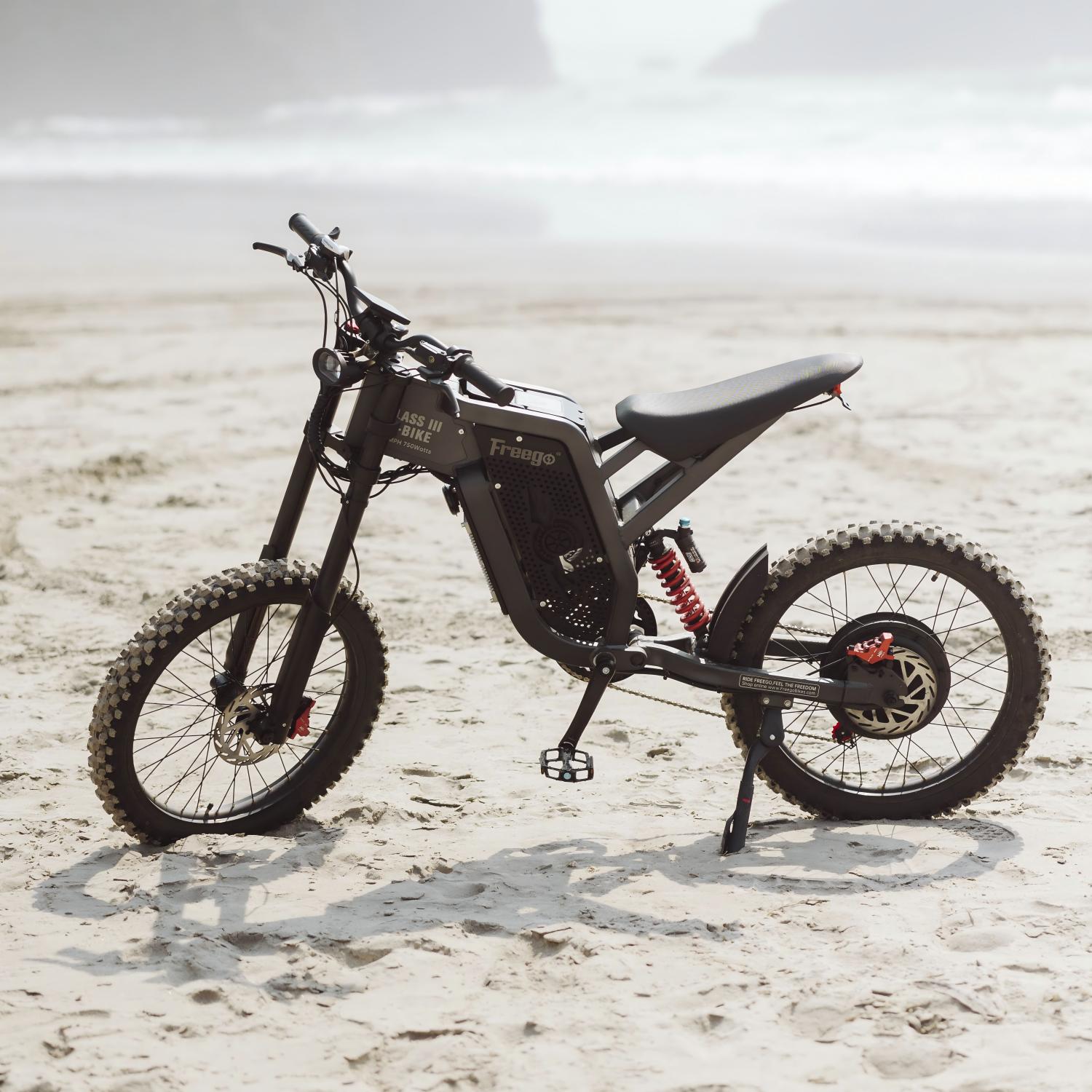 Freego X2 Dirt Master Electric Dirt Bike