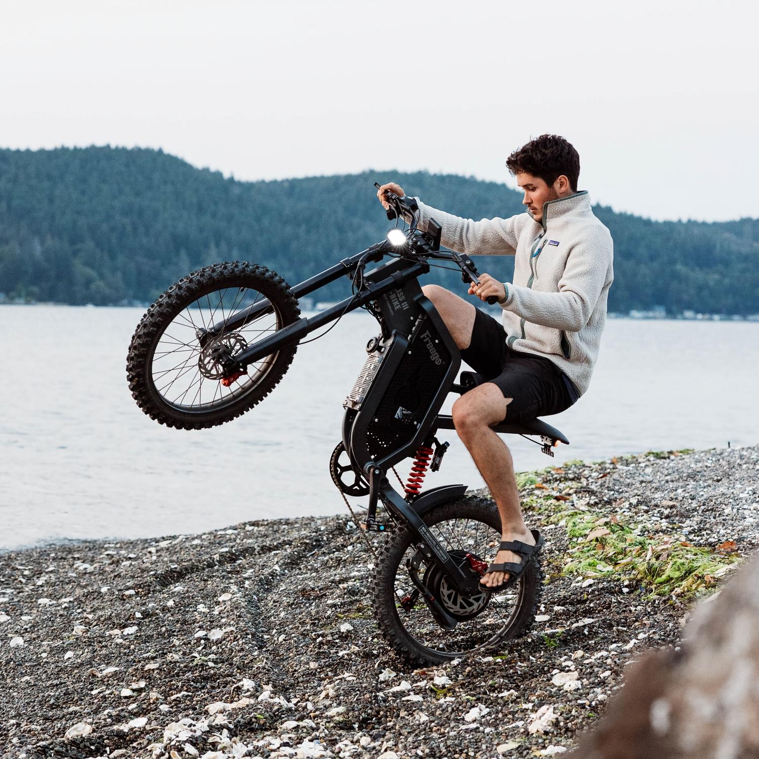 Freego X2 Dirt Master Electric Dirt Bike