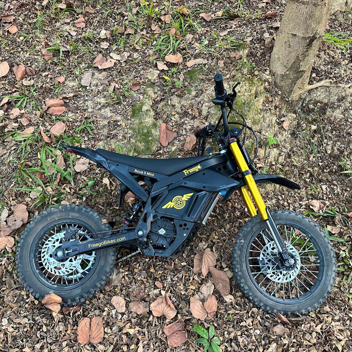 Freego N5 Mini Electric Bike