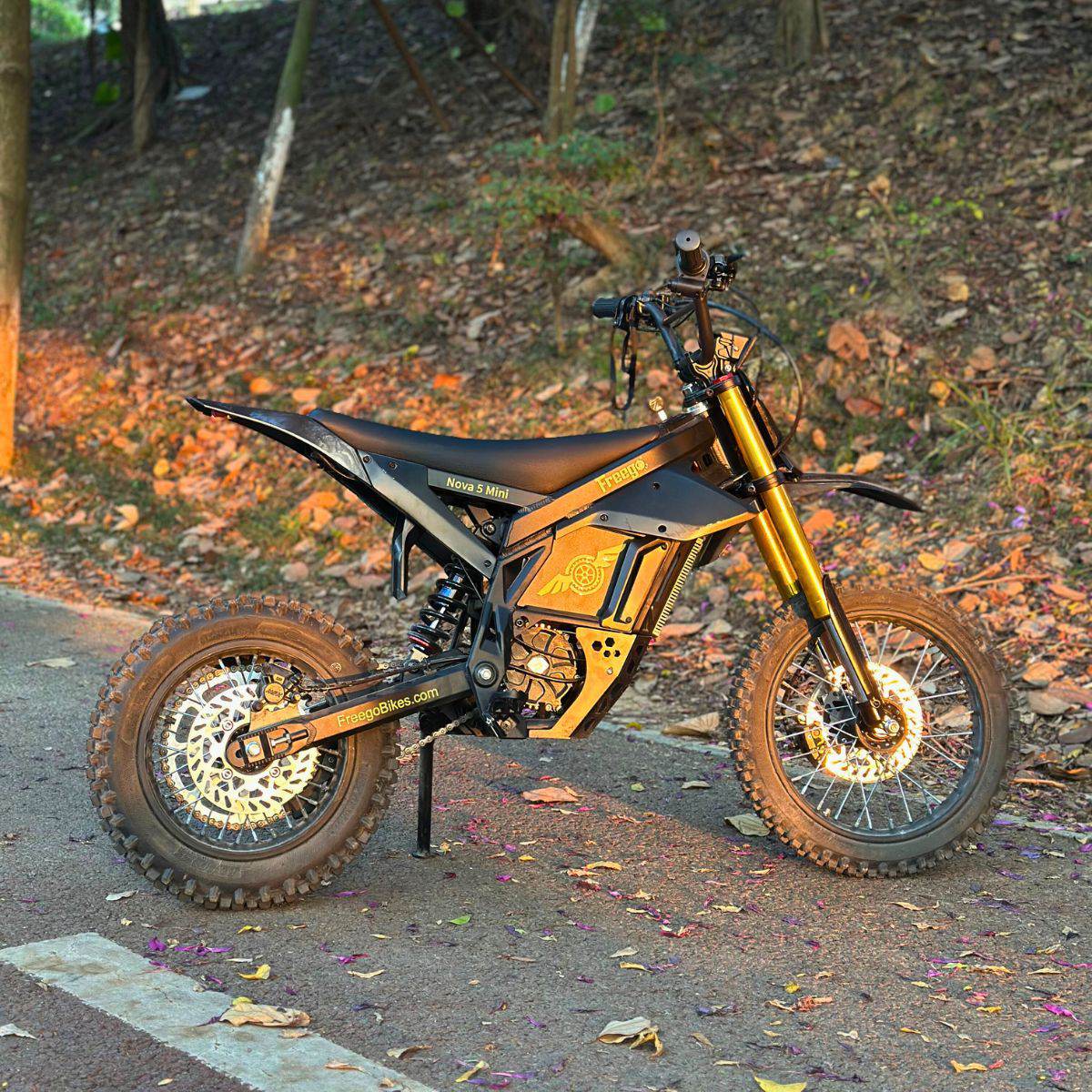 Freego N5 Mini Electric Bike