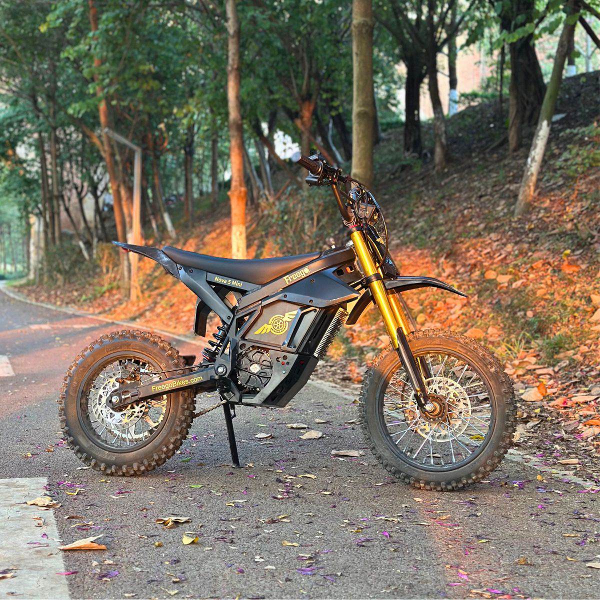 Freego N5 Mini Electric Bike
