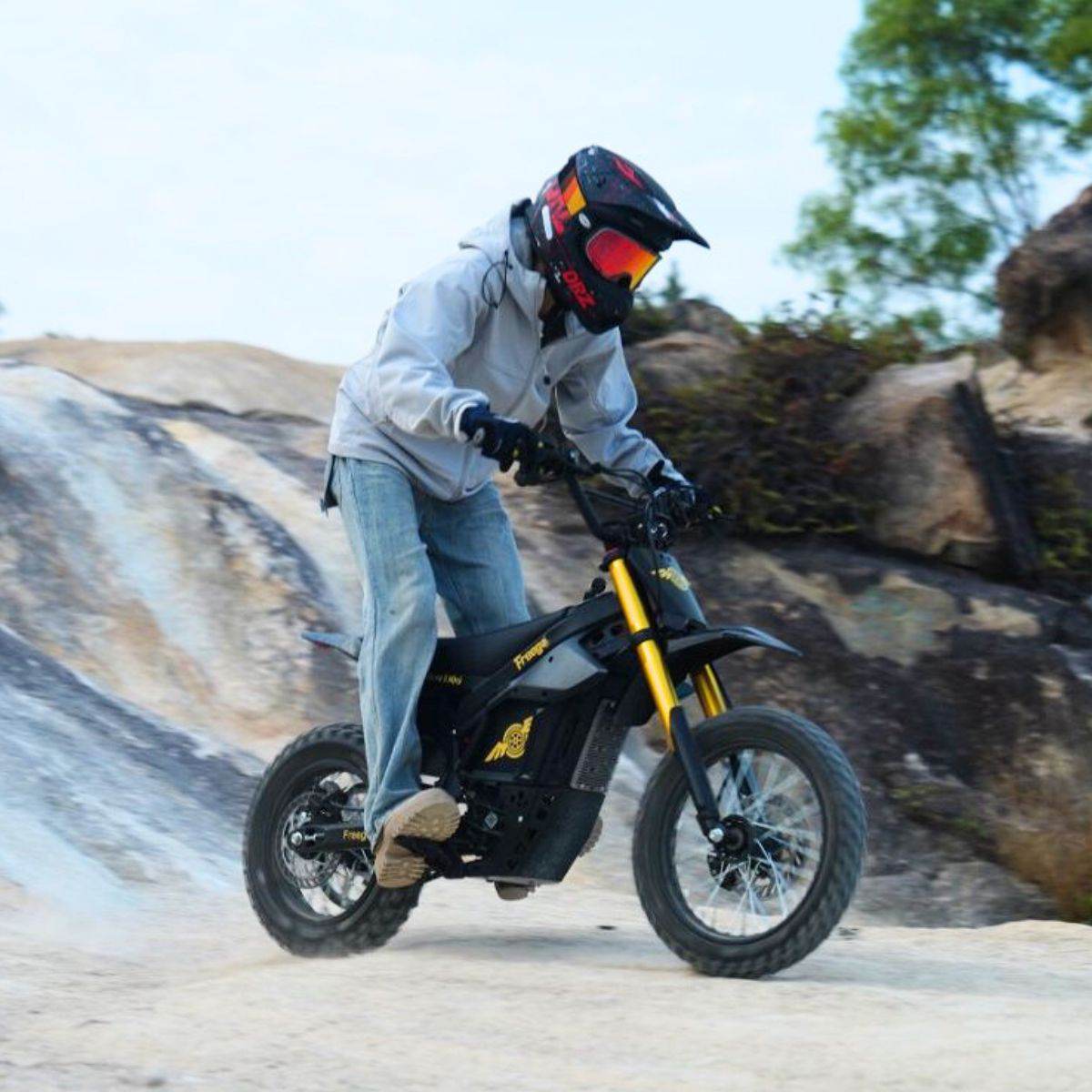 Freego N5 Mini Electric Bike