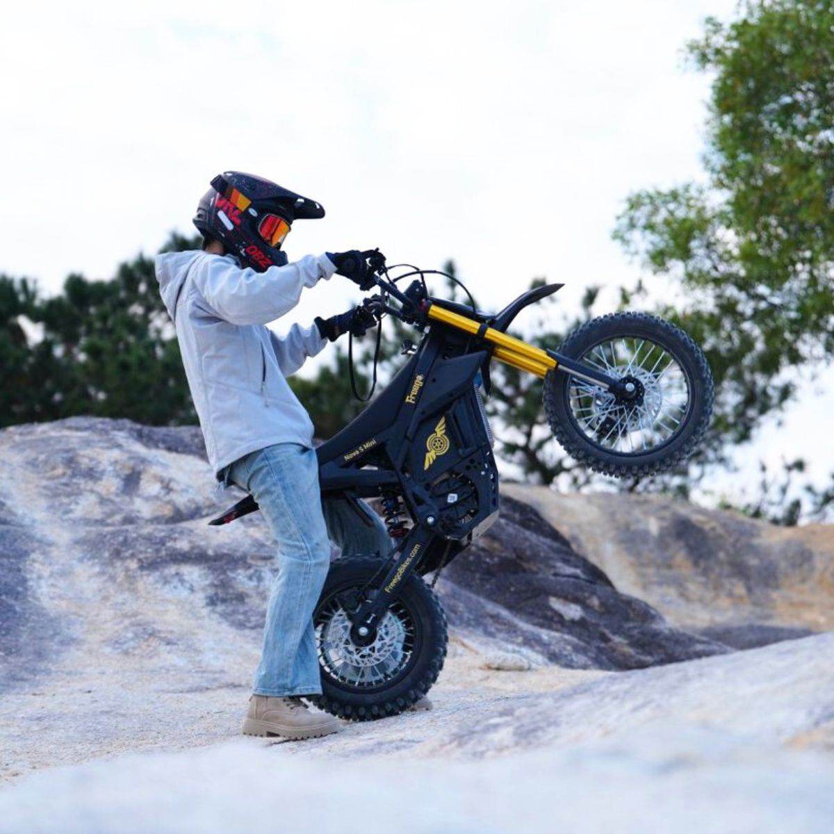 Freego N5 Mini Electric Bike