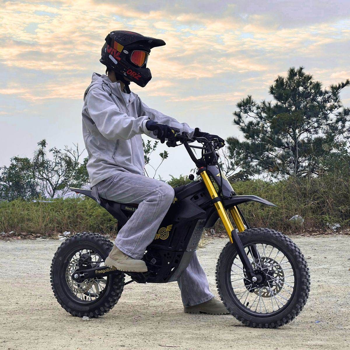 Freego N5 Mini Electric Bike