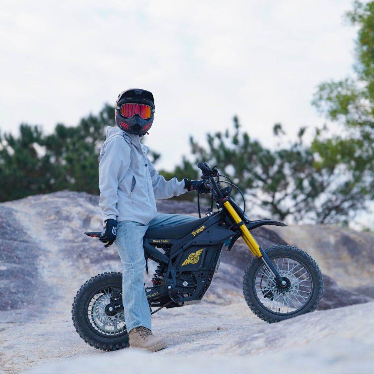 Freego N5 Mini Electric Bike