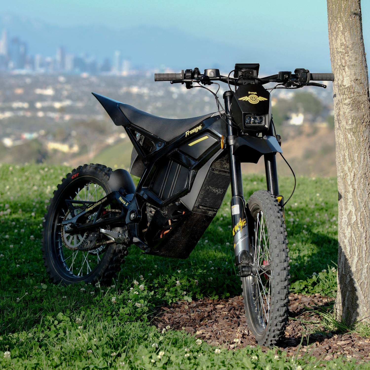 Freego Nova 5 Electric Bike