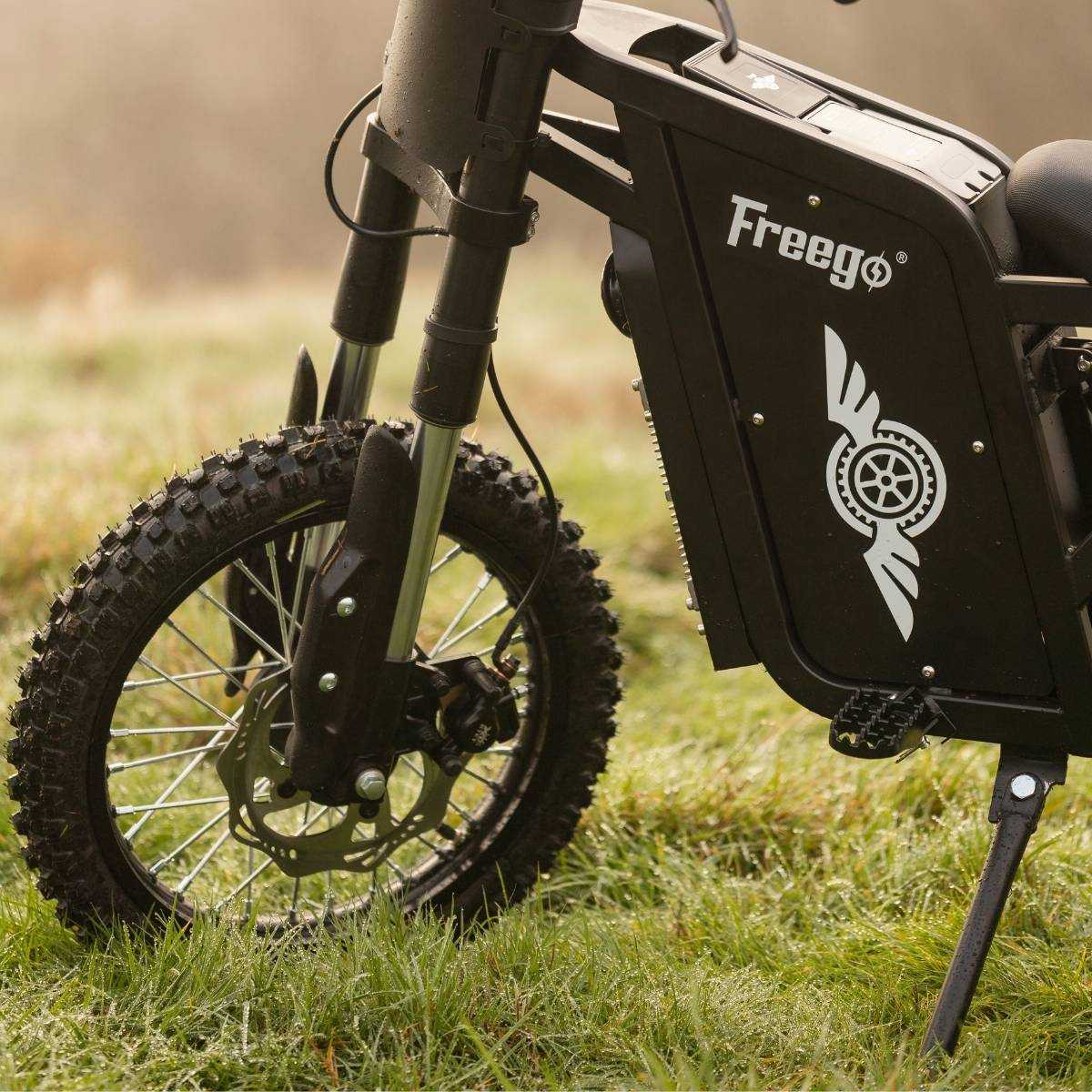 Freego X0 Electric Mini Bike