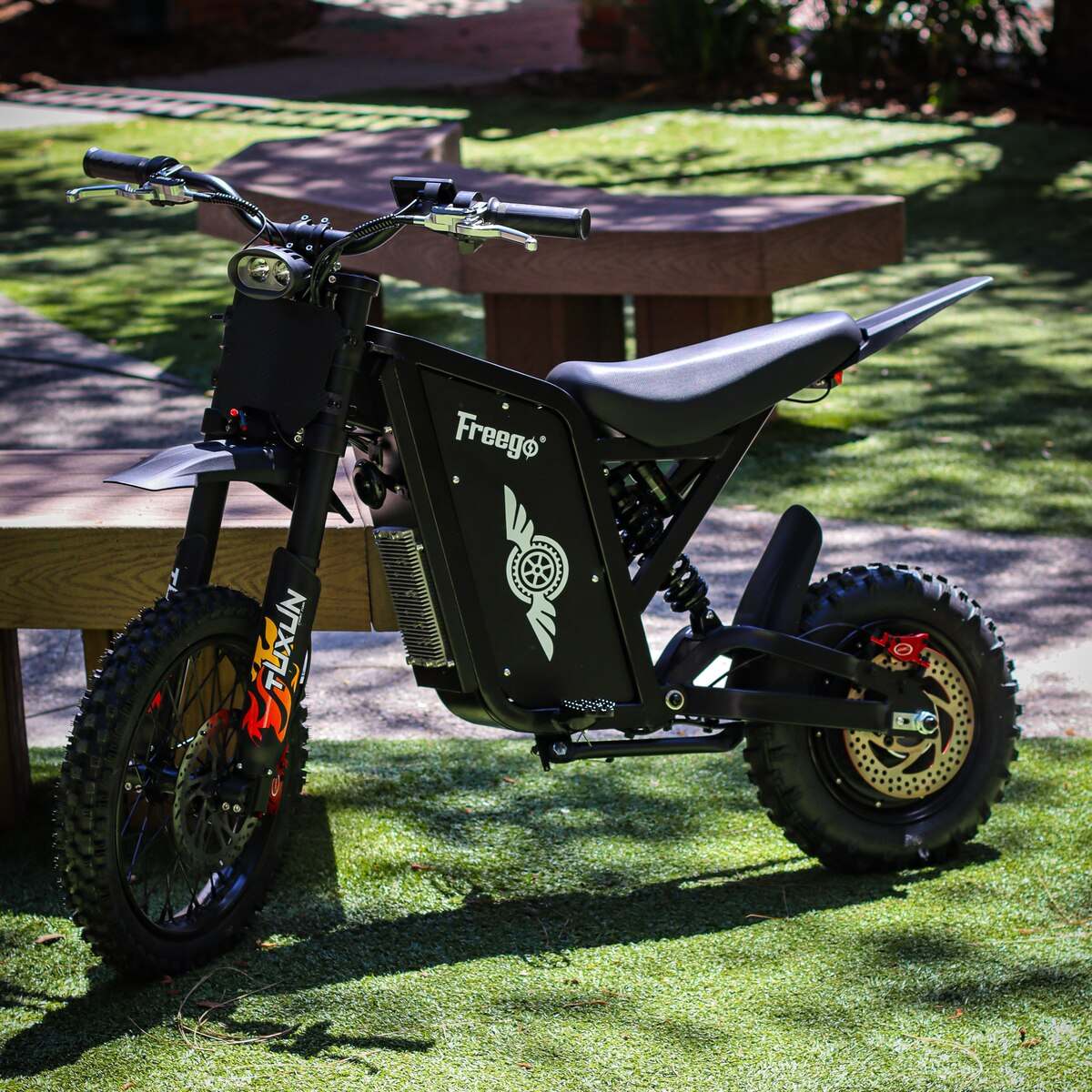 Freego X0 Electric Mini Bike