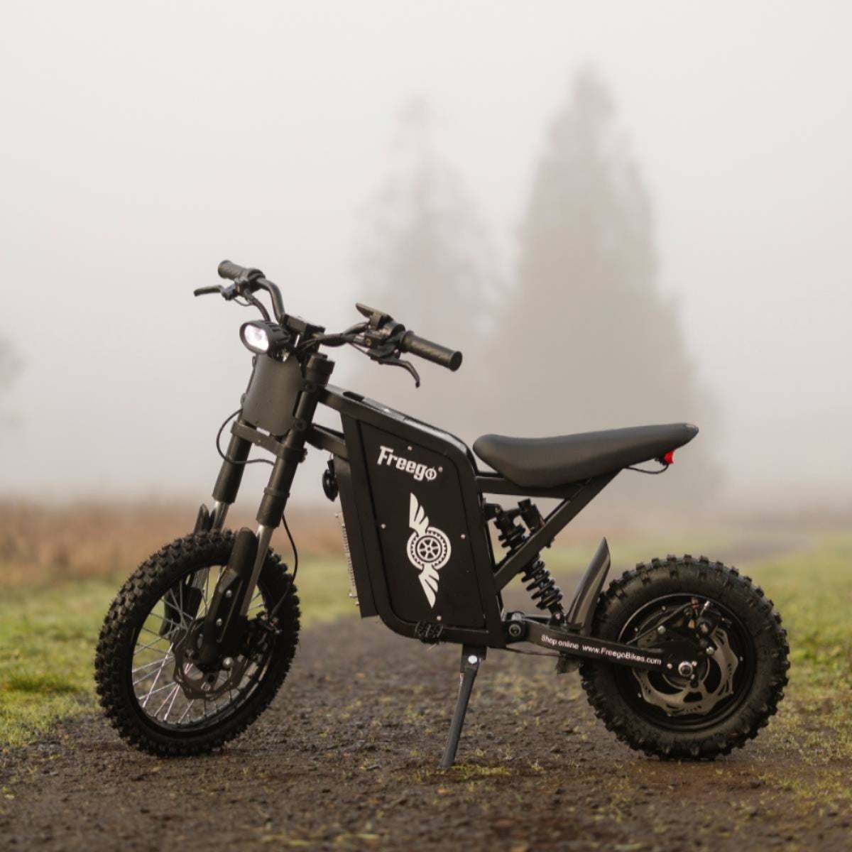 Freego X0 Electric Mini Bike