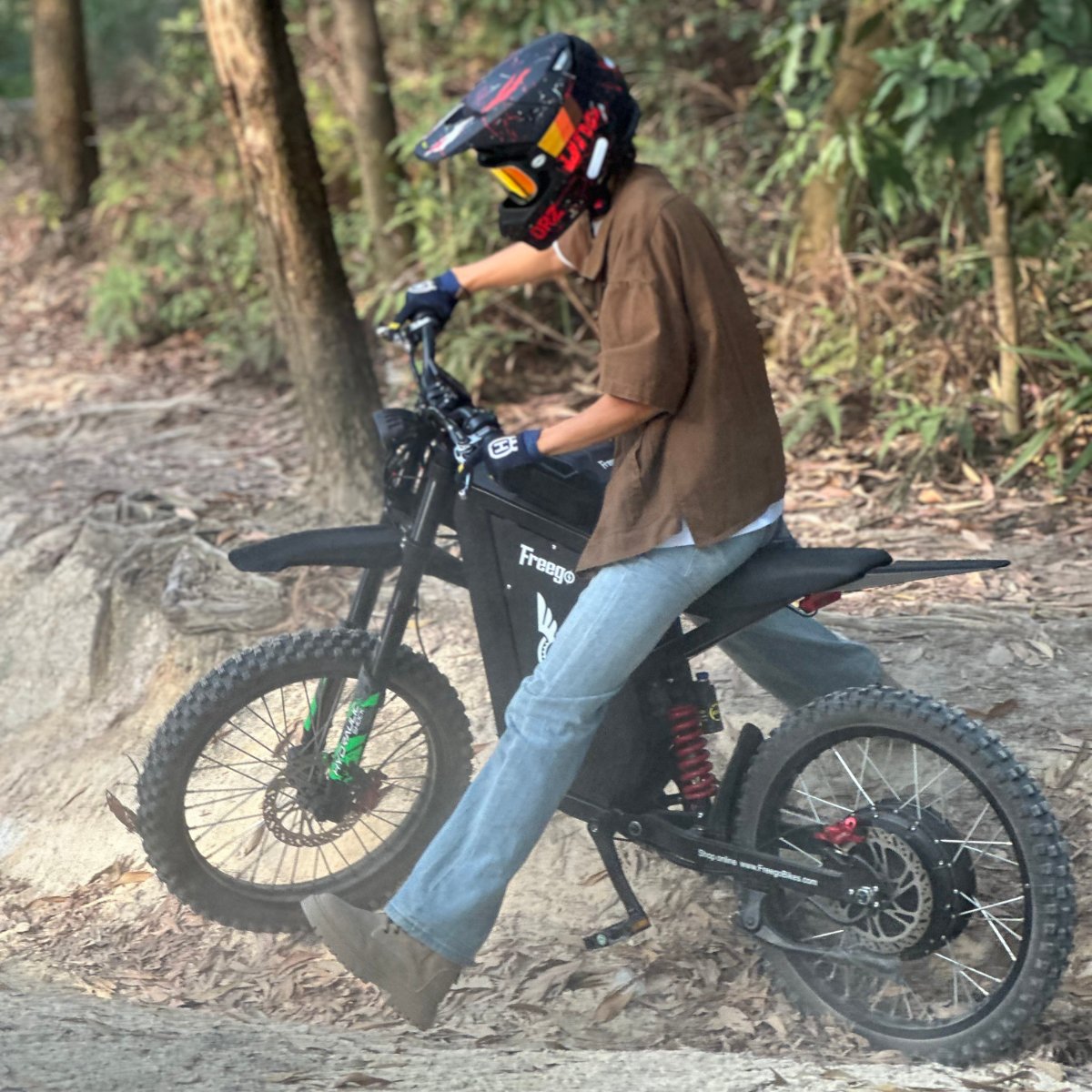 Freego X3 All-Terrain Electric Bike