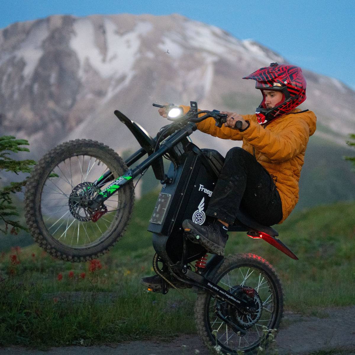 Freego X3 All-Terrain Electric Bike