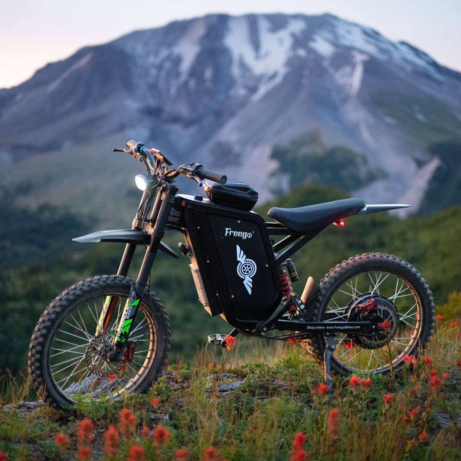 Freego X3 All-Terrain Electric Bike