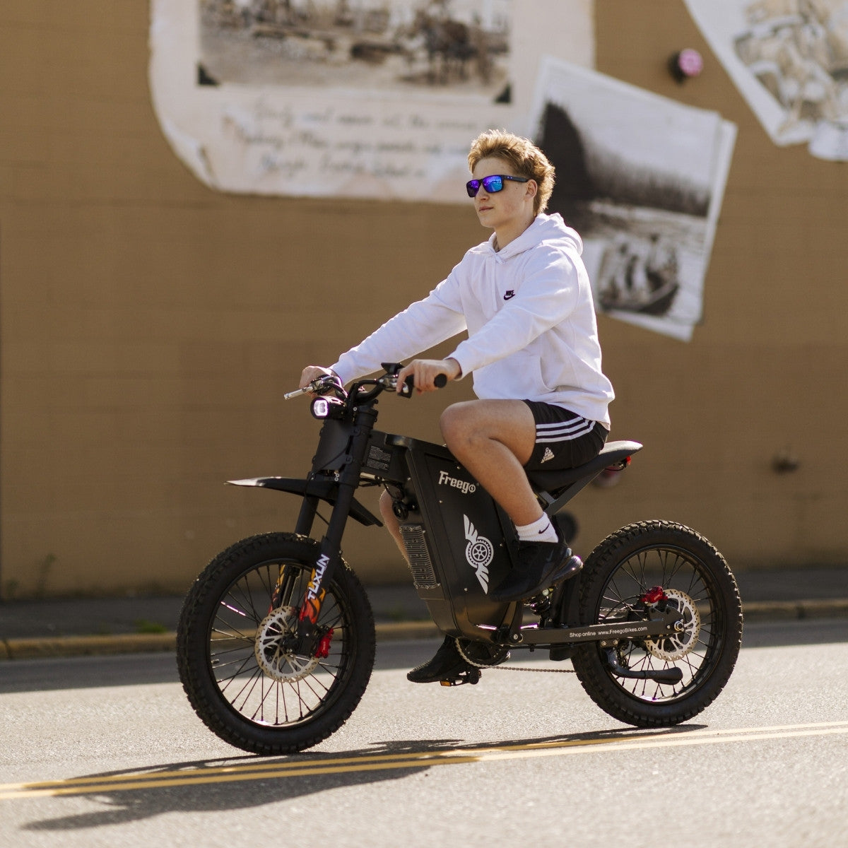 Freego X1 Electric Dirt Bike