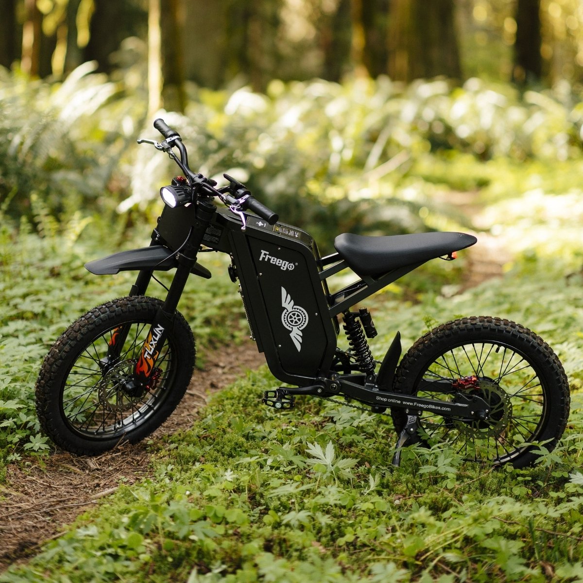 Freego X1 Electric Dirt Bike