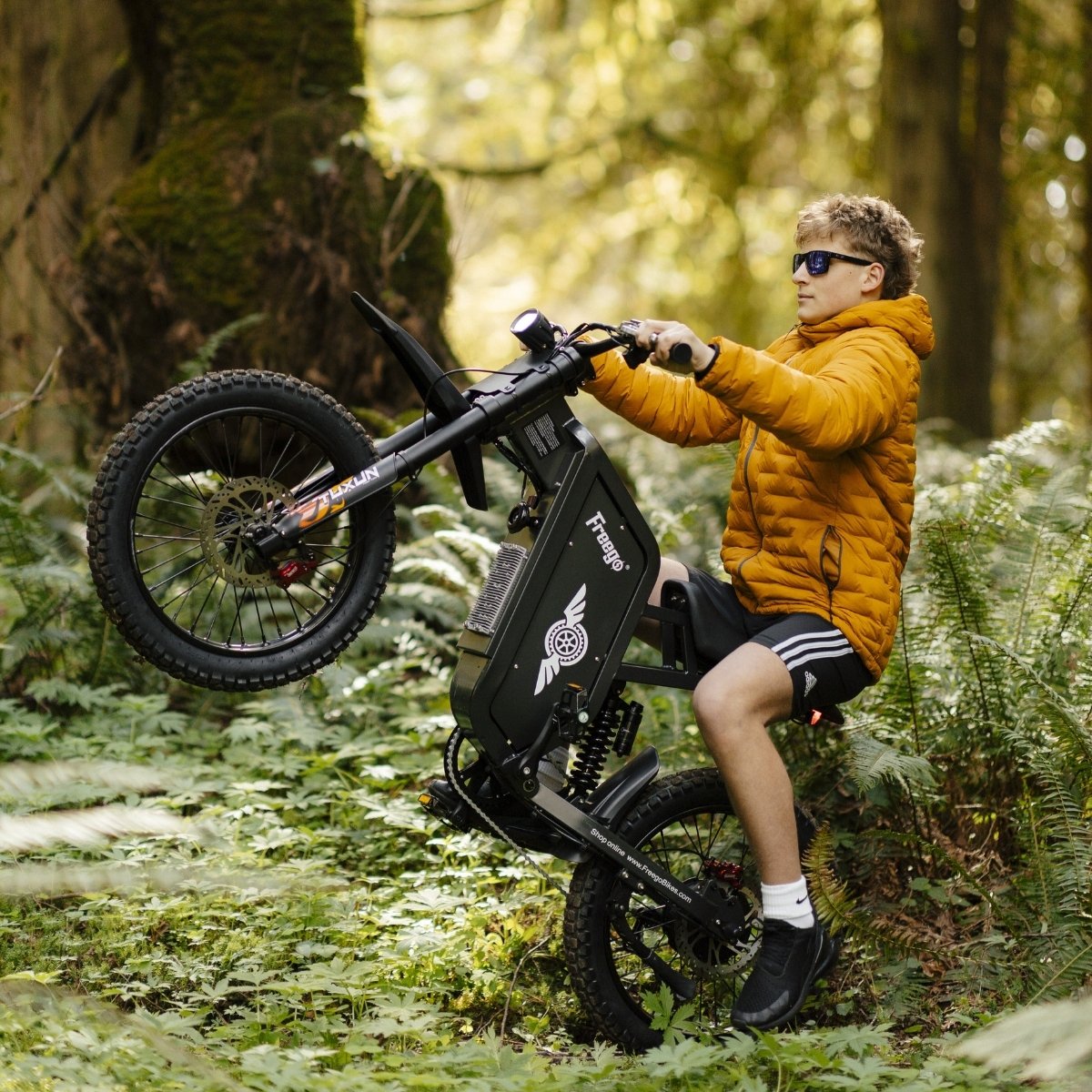 Freego X1 Electric Dirt Bike