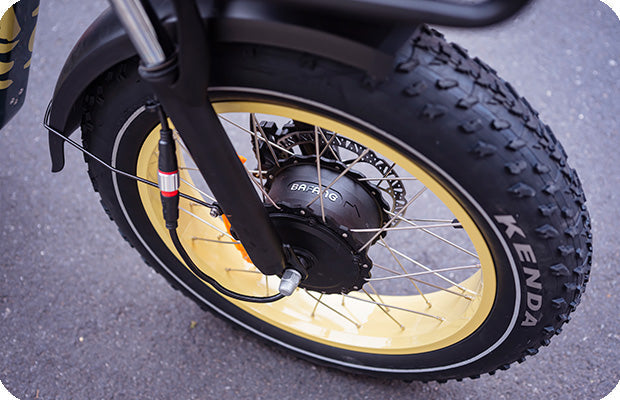 MEIGI MG2301-SILVERADO-HD Fat Tire Electric Tricycle