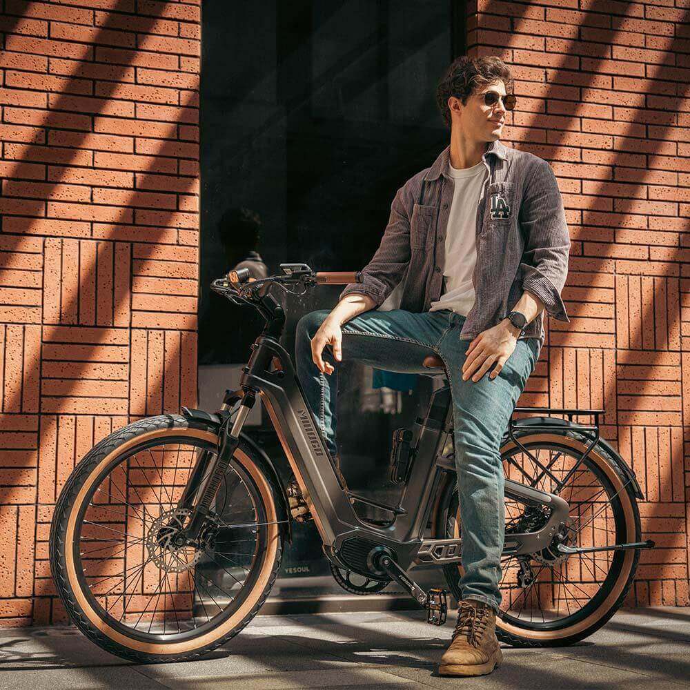 Mihogo Air Carbon Electric Bike